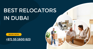 The best relocators in Dubai