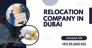 Relocation Companies in Dubai