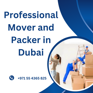 Professional Mover and Packer in Dubai (3)