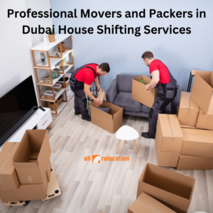 Professional Movers and Packers in Dubai